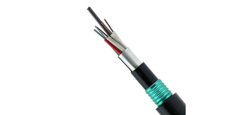 GYTA53 24 jadier