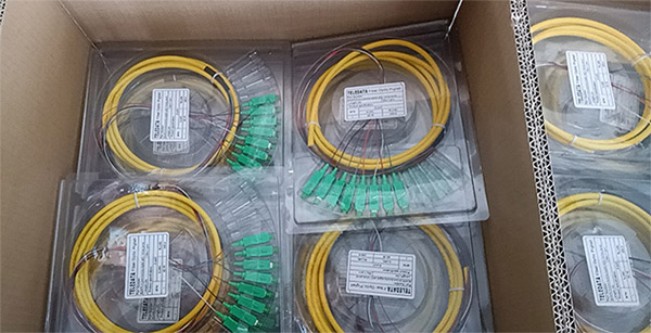 12_Cores_Sc_PC_900um_Bundle_Fan-out_Fiber_Optic_Pigtail-4.jpg